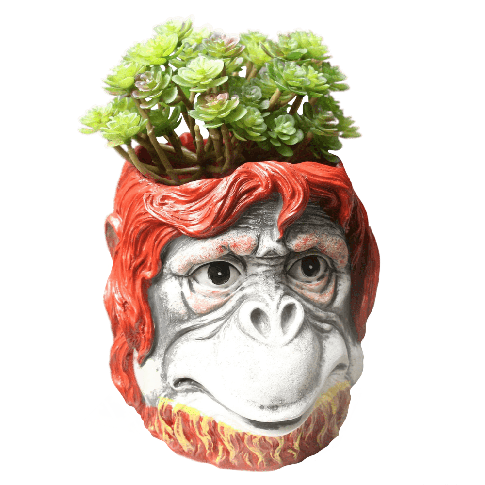 Modello singolo di "Vaso a forma di muso di Gorilla"