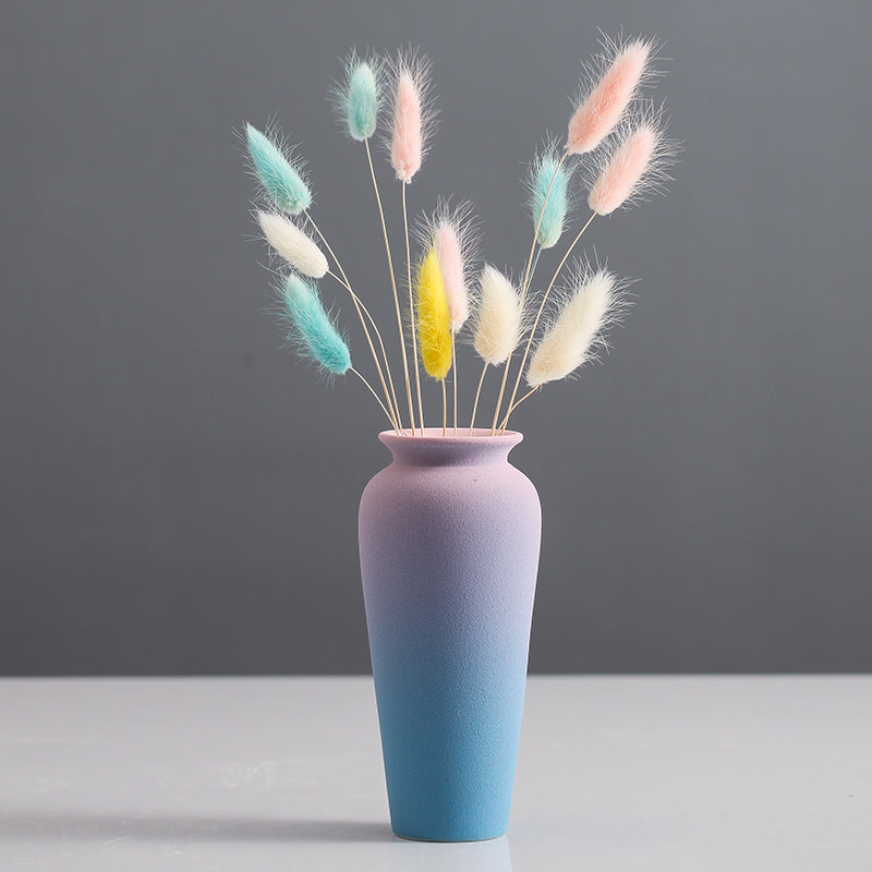 3 modelli di "Vaso in stile minimal rosa e blu"