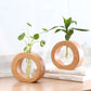 Modello singolo di "Vaso idroponico a cerchio in legno"