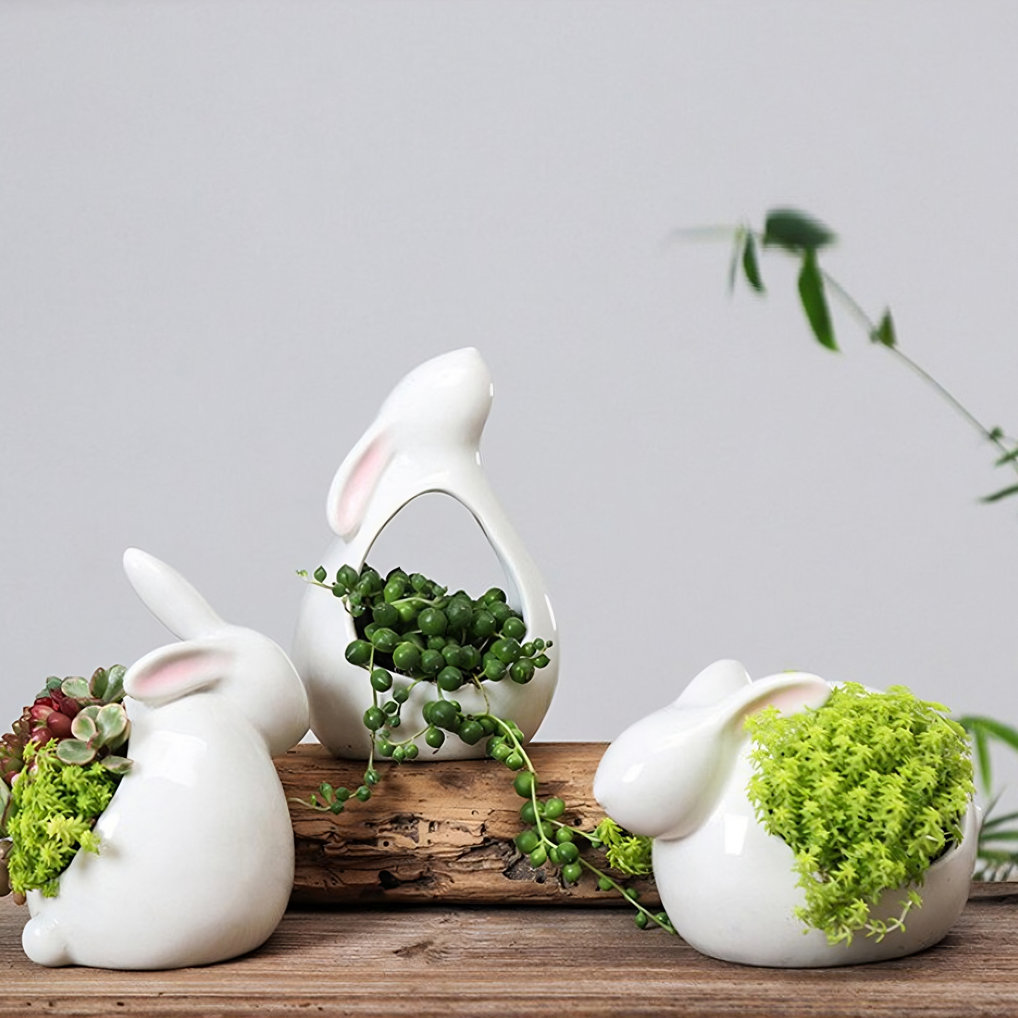 4 modelli di "Vaso a forma di coniglio in stile moderno"